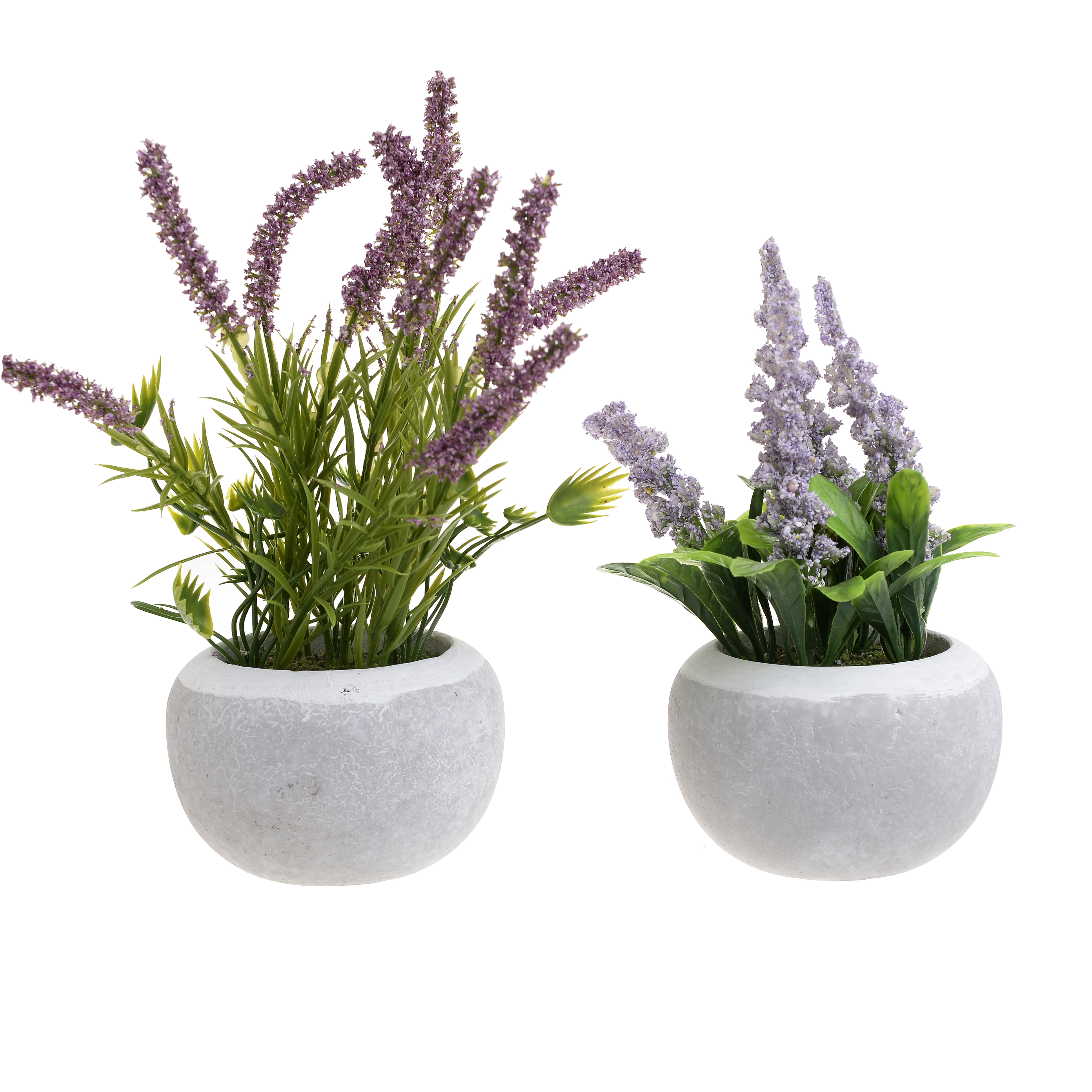 3885475.0223 ИСКУССТВЕННЫЙ ЦВЕТОК В КАШПО, 2 ДИЗАЙНА TO4ROOMS  - Вид №1