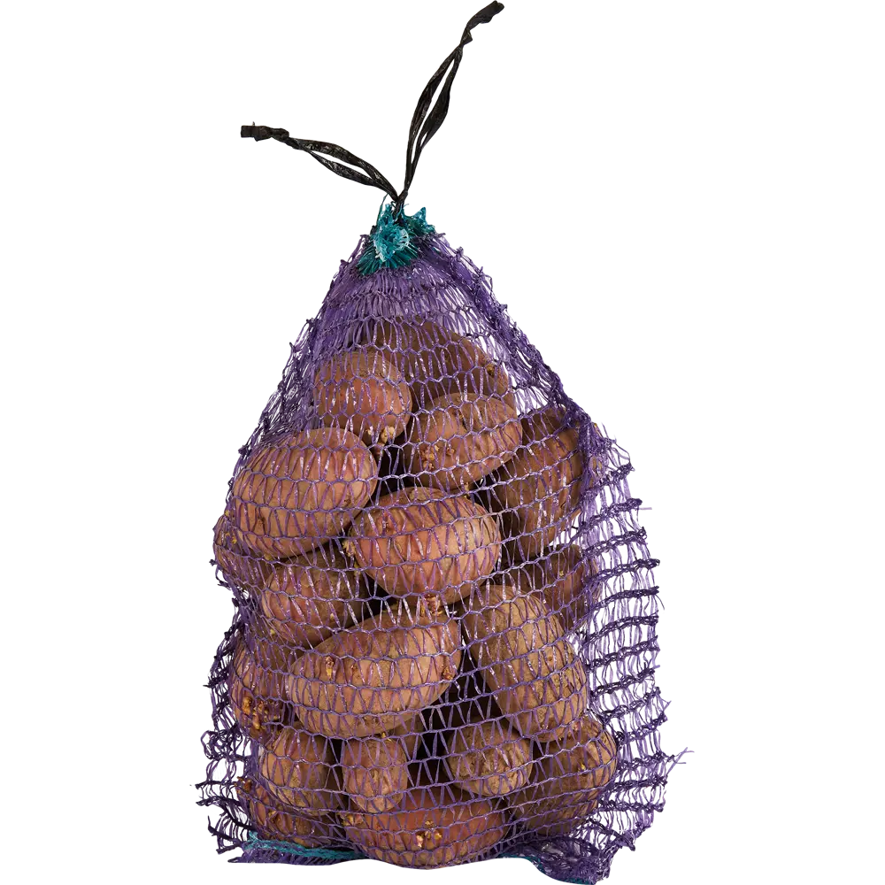 Картофель семенной Ред Скарлет элита 2 кг Santreyd STLM-2077223