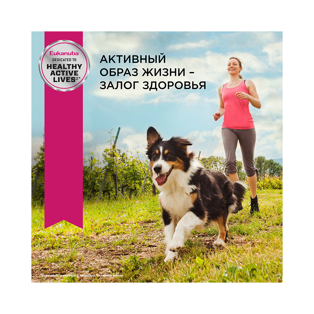 ПР0055338 Корм для собак ягненок, рис сух. 2,5кг Eukanuba  - Вид №7