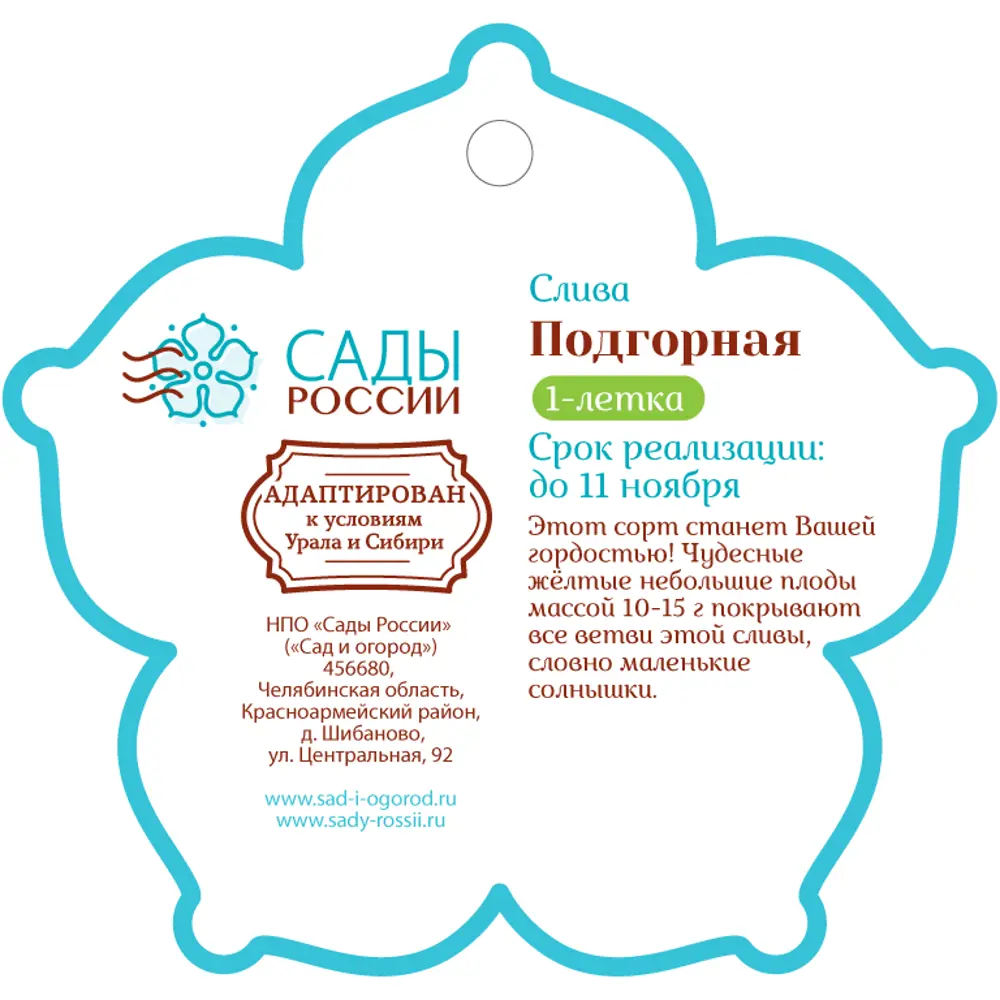 Слива «Подгорная» 1 год 12.5x30-50 см 82610452 STLM-2020512 Santreyd  - Вид №1