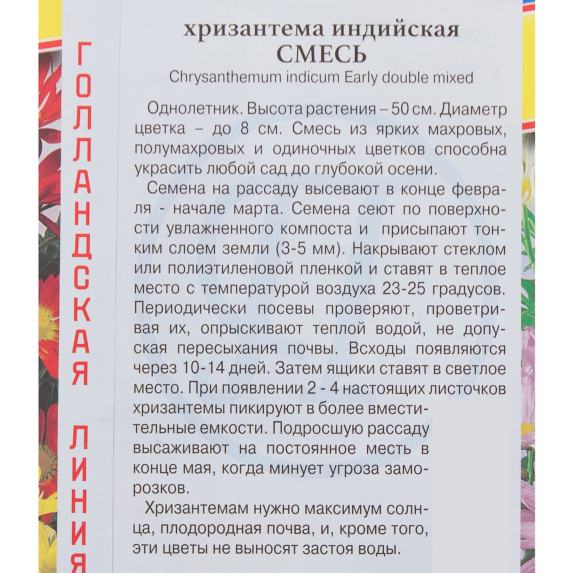 17301504 Хризантема индийская смесь Santreyd  - Вид №2