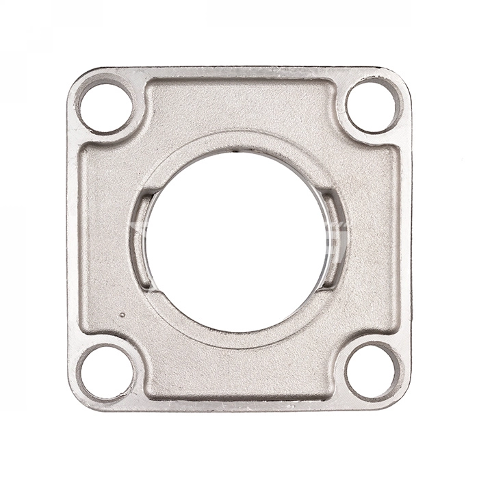 IS1901 Нержавеющий корпус подшипника SS F 206 ISKRA  - Вид №4