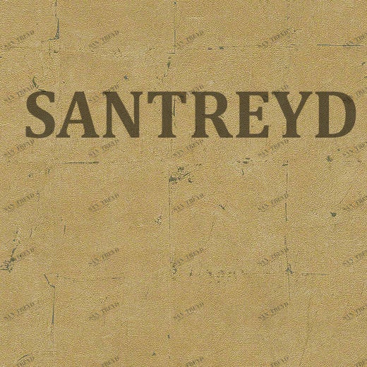 93992-2 Обои A.S. Creation Daniel Hechter 5 939922