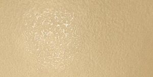 Декор желтый лаппатированная 1200x600