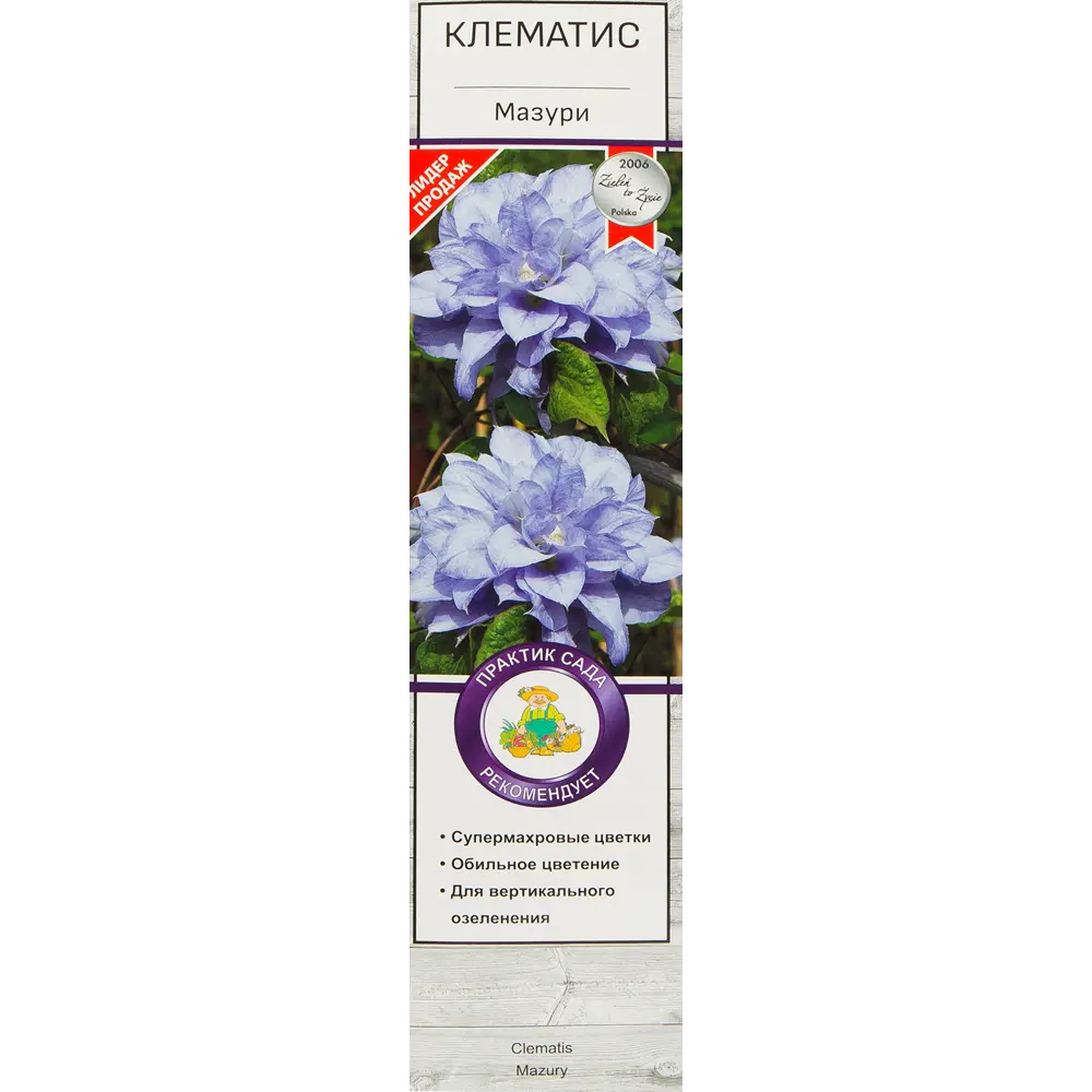 Клематис Мазури в тубе Поиск Инвест 81951259 STLM-2110888 Santreyd 