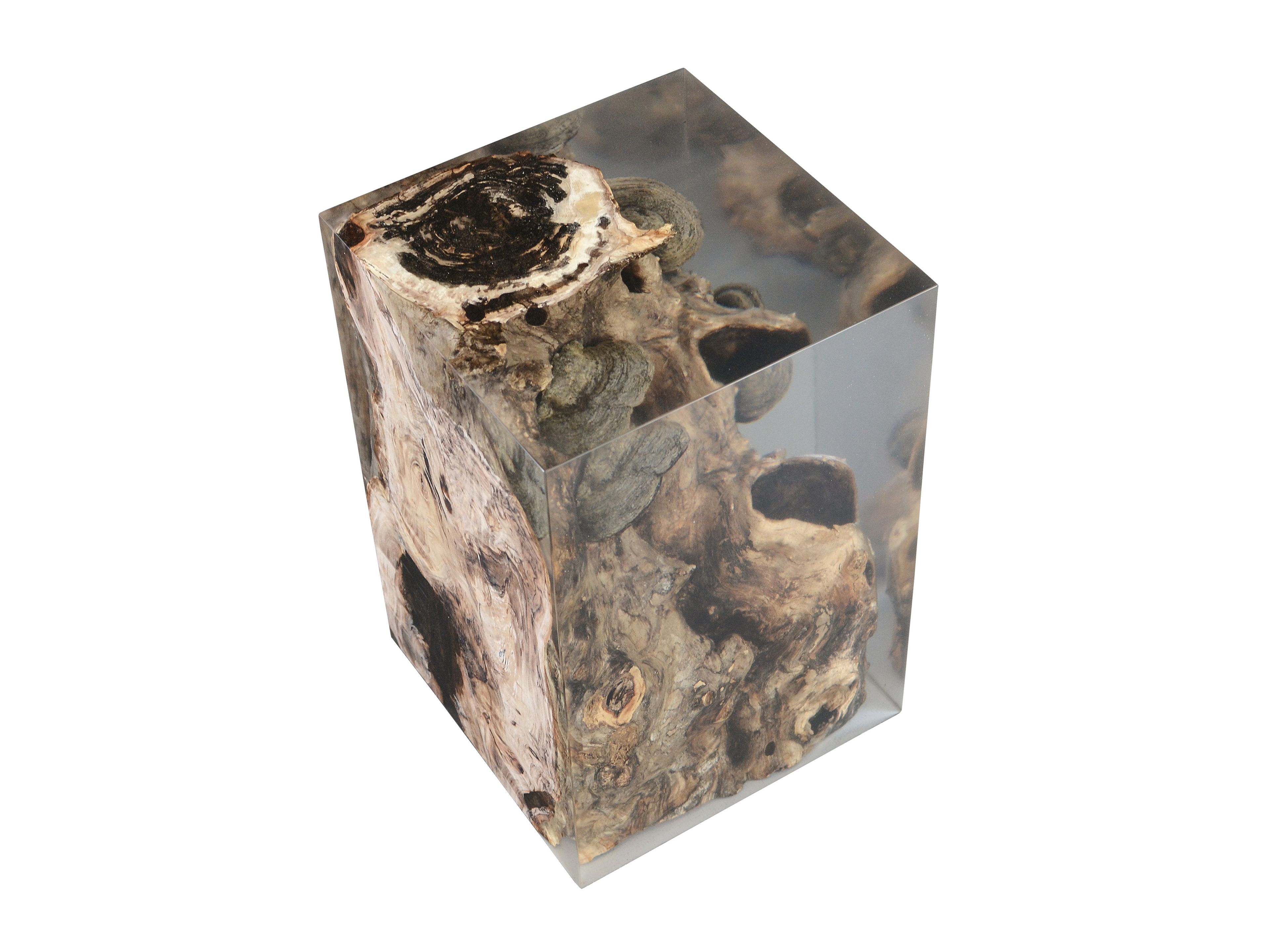 Табурет / журнальный столик alcarol Fungi ARCH-00131901