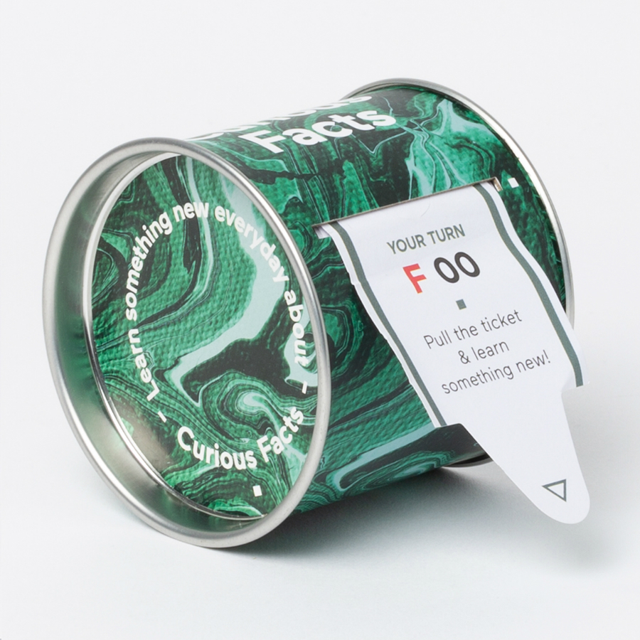 DYNEWCFEN Набор «Узнай что-то новое. Любопытные факты» Doiy 