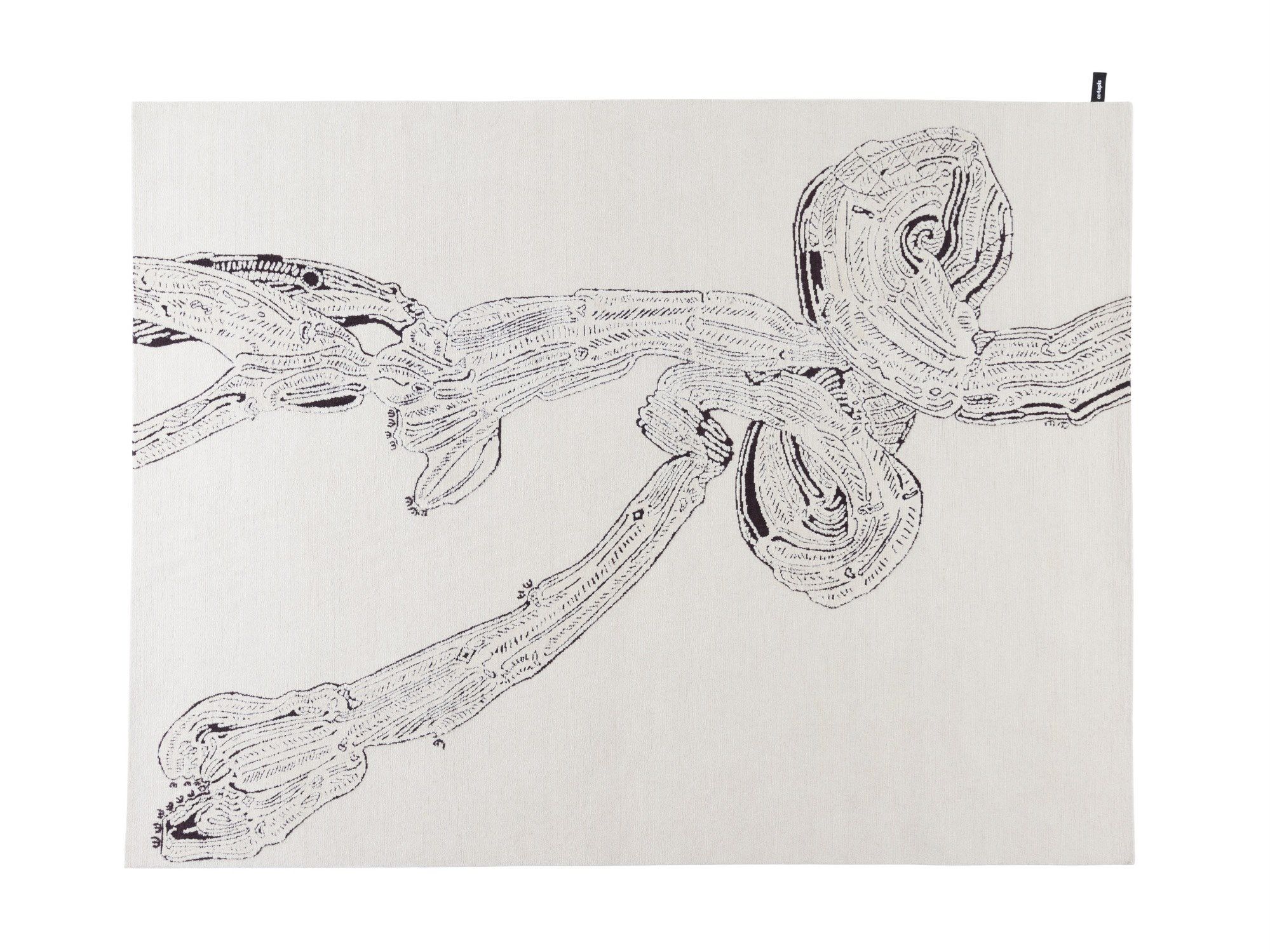 Прямоугольный ковер ручной работы из гималайской шерсти cc-tapis молочай ARCH-00089488