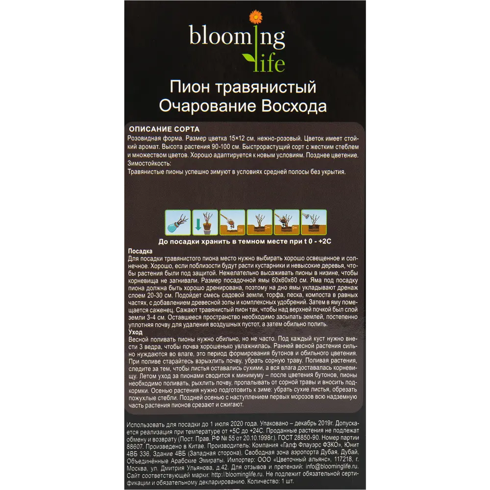 Пион травянистый Очарование восхода 13493238 STLM-2209712 Santreyd  - Вид №2
