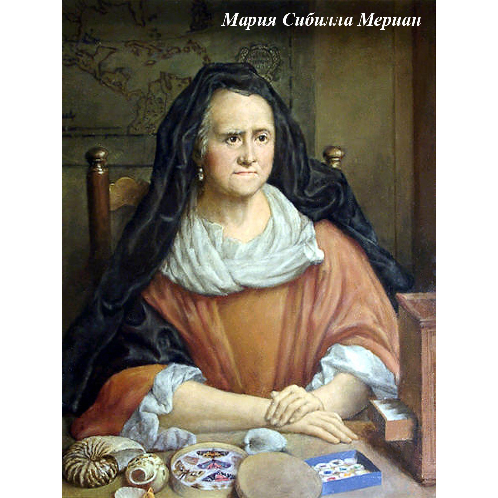 2719188 Интерьерная подушка «Ботаническое барокко», версия 4 Object Desire  - Вид №3