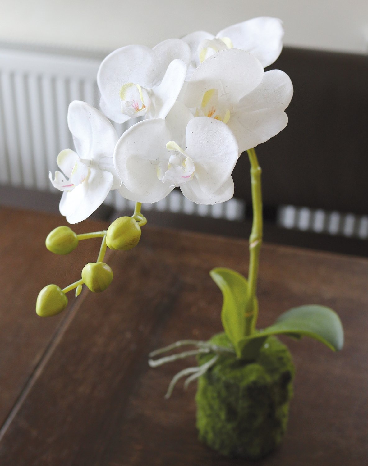2855 777 a3 Пластиковая орхидея Phalaenopsis с 'почвой', 43 см, real touch, белая H-andreas 