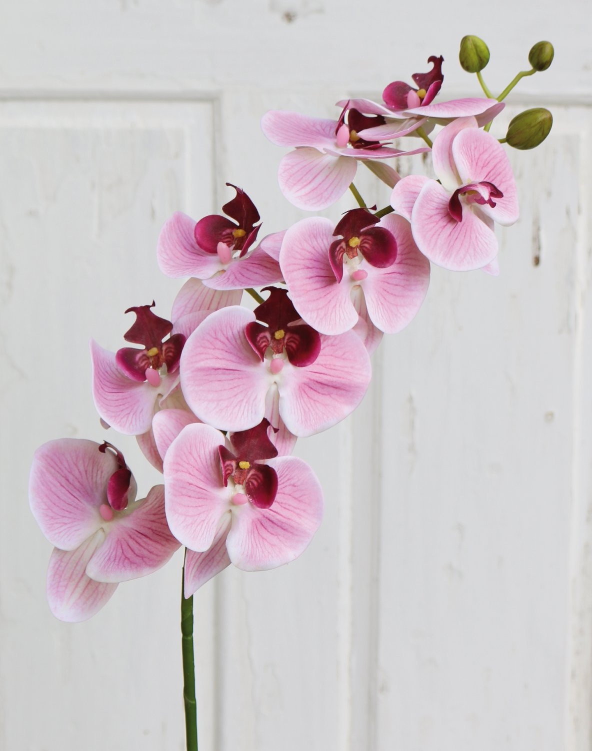 2853 510 a3 Искусственная орхидея Phalaenopsis, 106 см, real touch soft, роза H-andreas  - Вид №2