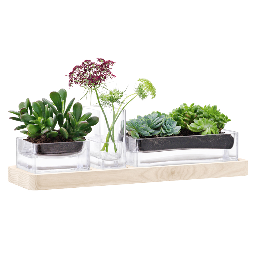 Набор из 3 контейнеров и подставки Modular 41 см LSA International G138500301 - Вид №5