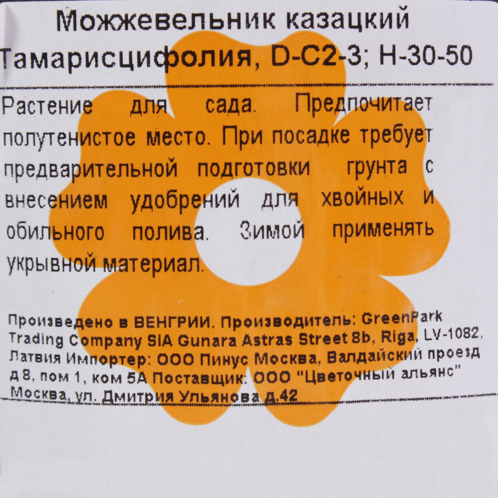 81959245 Можжевельник казацкий «Тамарисцифолия» С2-3/30 Santreyd  - Вид №2