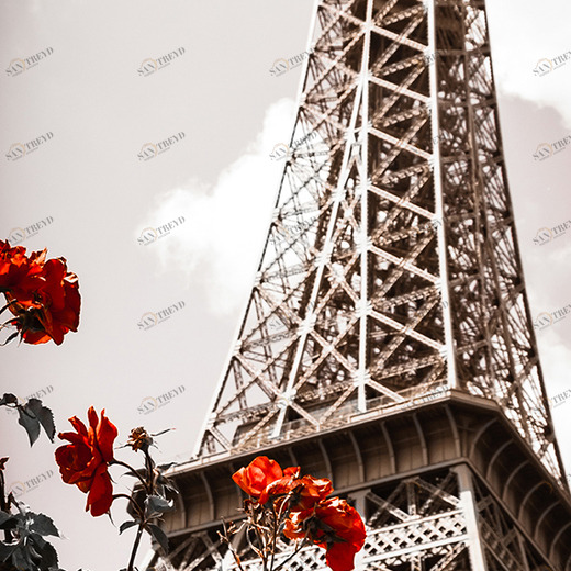 A2-004 Фотообои DIVINO Collection A 2.7х1 м A2004