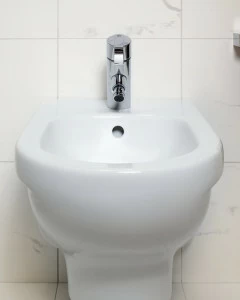 559999R1 Биде напольное  Gustavsberg