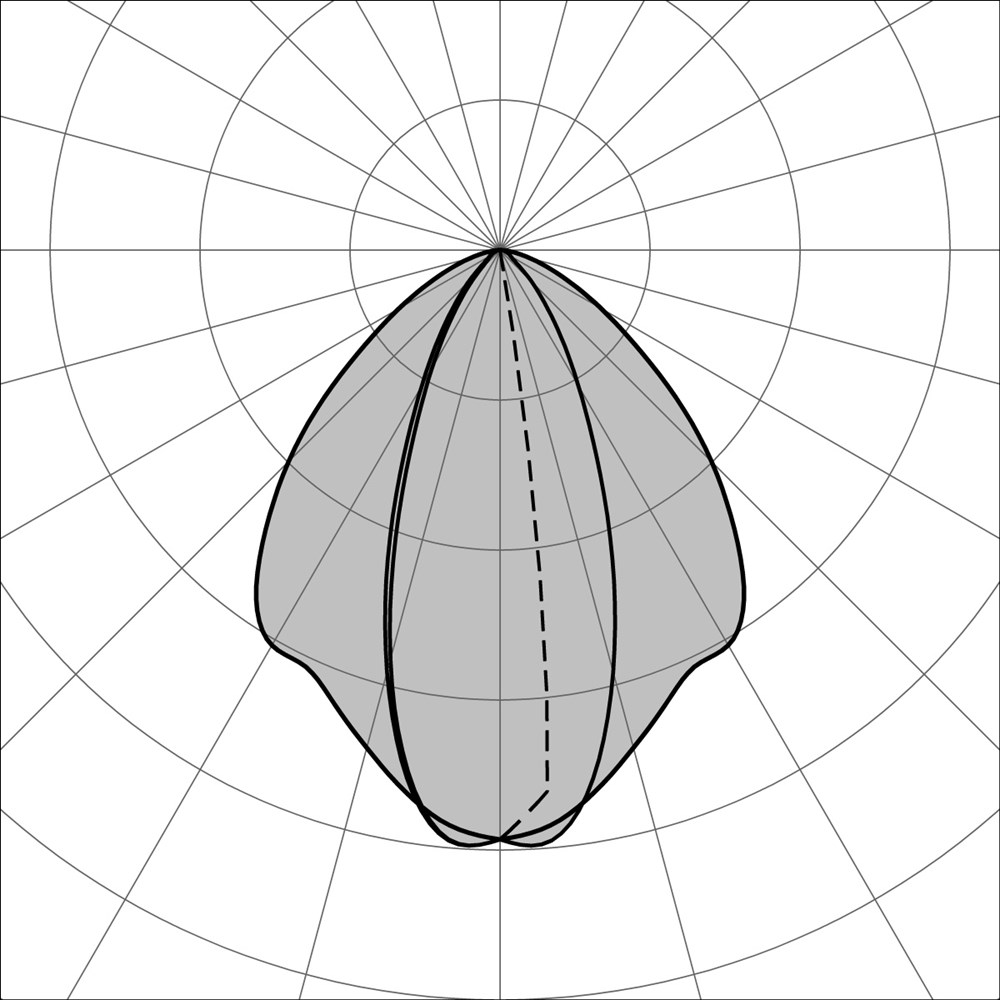 Compatto P 300 Ghidini Compatto P .05 Темно-Cерый (Матовый)  - Вид №3