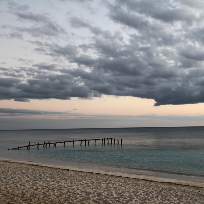 1327/SC4X145 Комплект 4 Quadri 50X50 Adriani e Rossi 