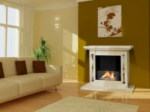 bioKamino Камин на биоэтаноле