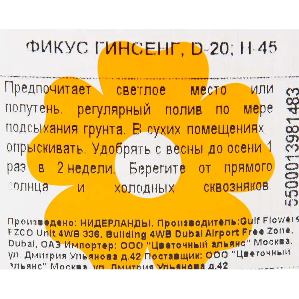 Фикус "Гинсенг" 20x45 см 82850357 STLM-2050897 Santreyd  - Вид №2