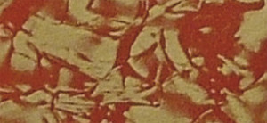 3111418 Фольга "восковая", Cracelle, 20x10 см, упаковка 1 шт., цвет красный