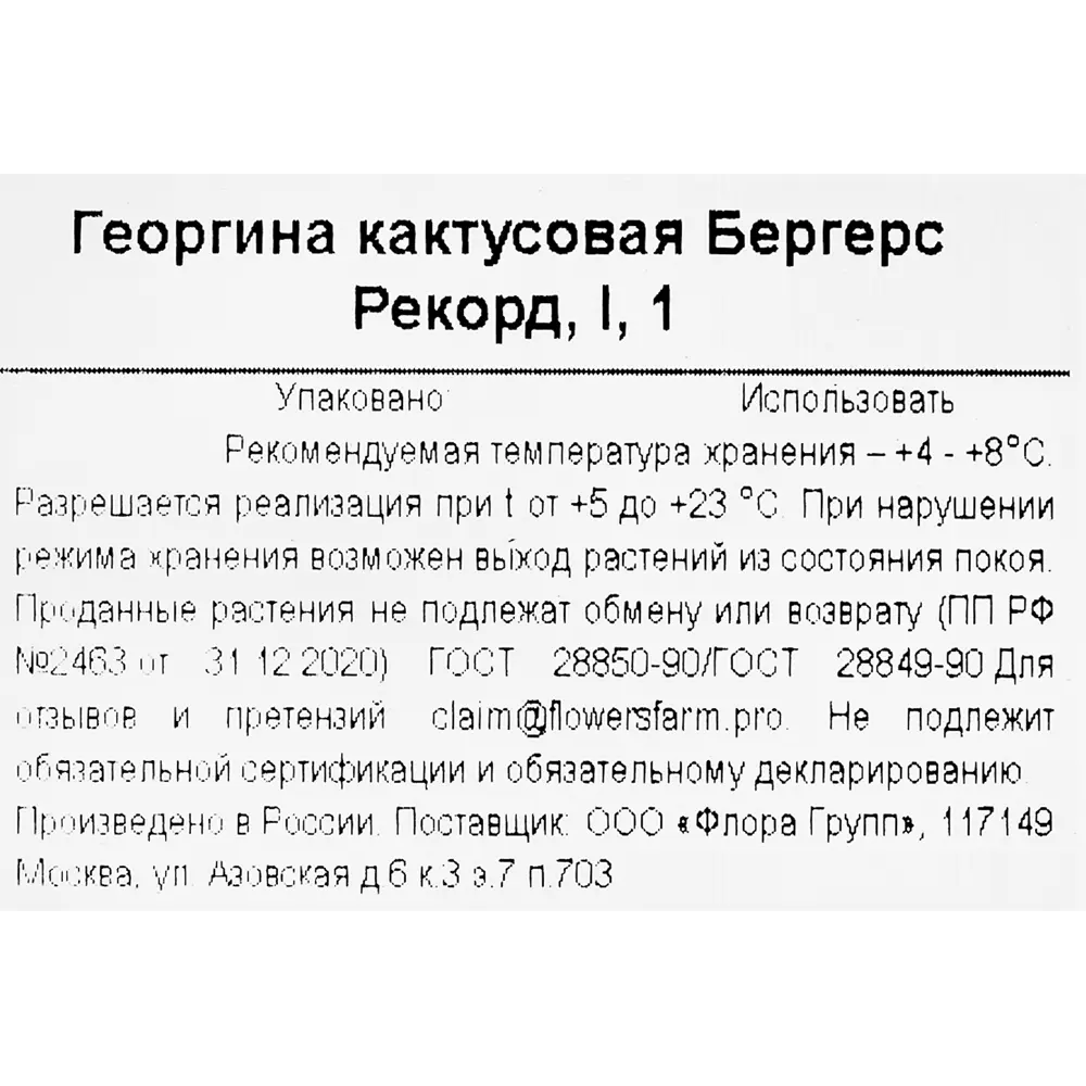 Георгина кактусовая Бергерс Рекорд Santreyd STLM-2062586 - Вид №2