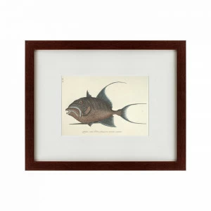 Картина в раме 52х42 см Triggerfish, 1743 КАРТИНЫ В КВАРТИРУ  135743 Серый