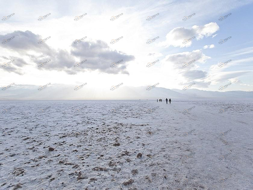 MOMENTI Авторский художественный принт Crazy home paintings Mn-008