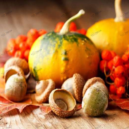 WP01709 Фотообои Verol Фотообои decoline 1х1 м