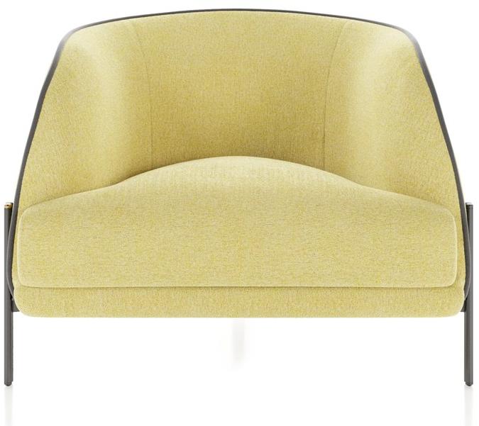 Liu Jo Living Collection Кресло с обивкой из ткани с подлокотниками Ceci est un caillou Cl1pno - Вид №4