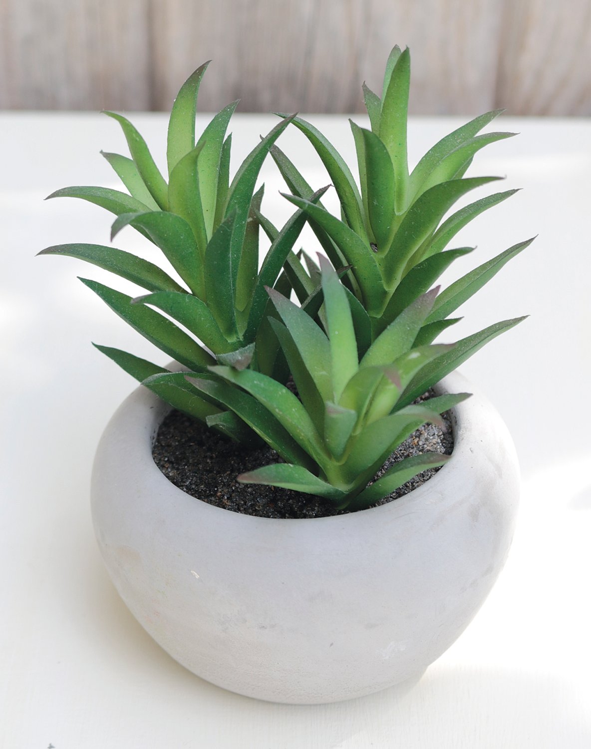 6035 883 a3 Пластиковые суккуленты-микс, горшечные, 6 шт., 7-12 см, зеленые H-andreas  - Вид №3