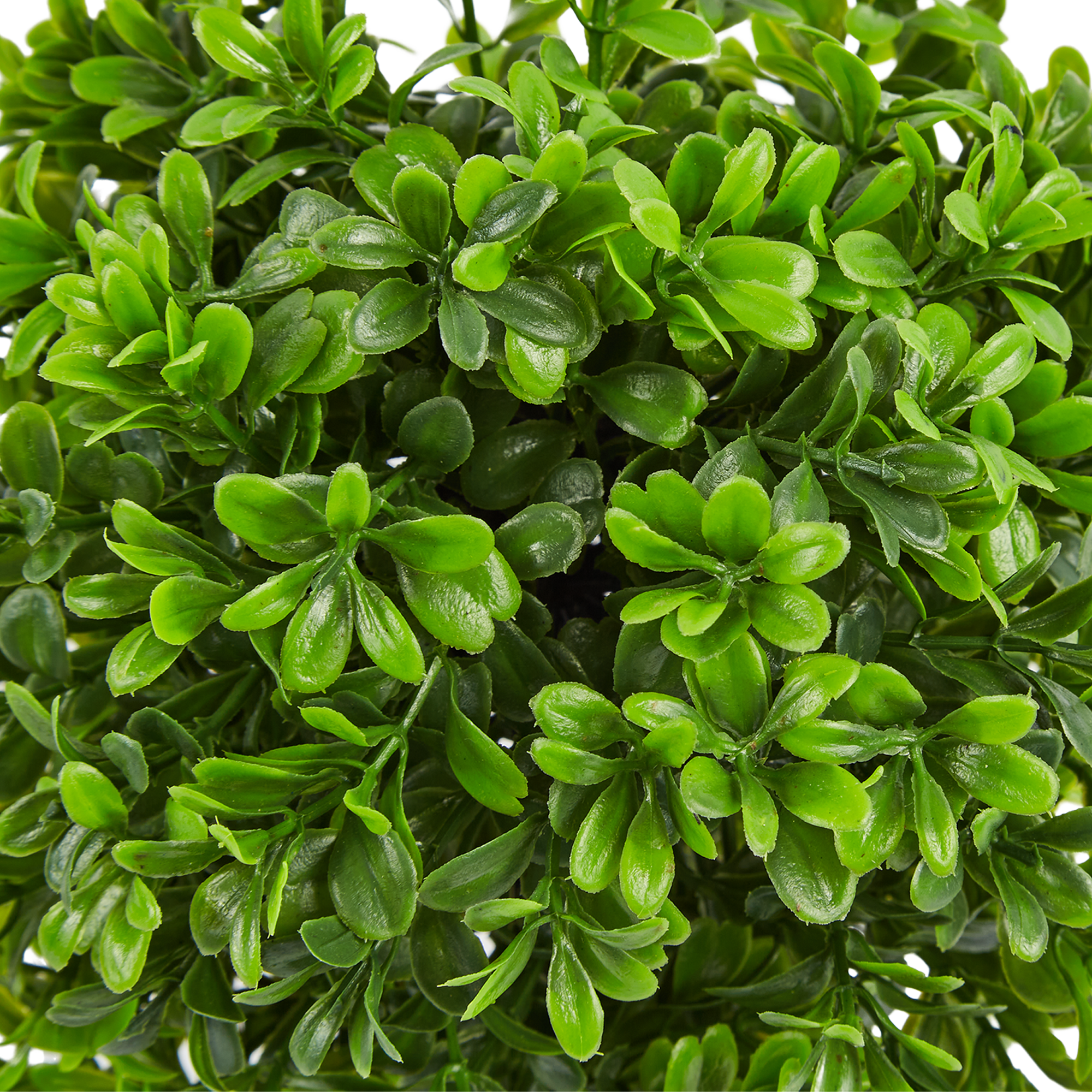 86762968 Искусственное растение в горшке Пилея ø14 h27 см STLM-0071435 Santreyd  - Вид №3