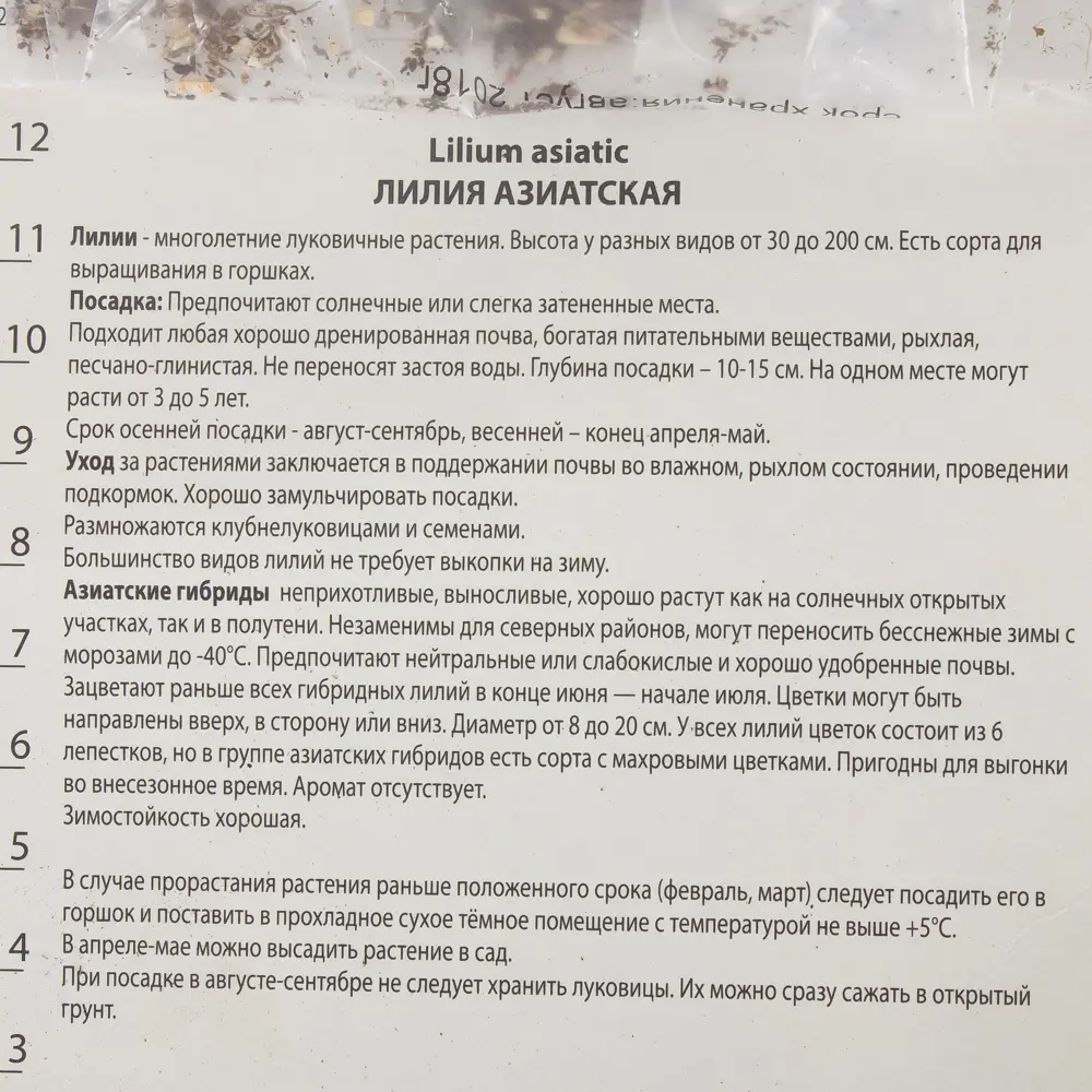 Лилия азиатская Танго «Лайон Харт» 81945459 STLM-2148015 Santreyd  - Вид №2