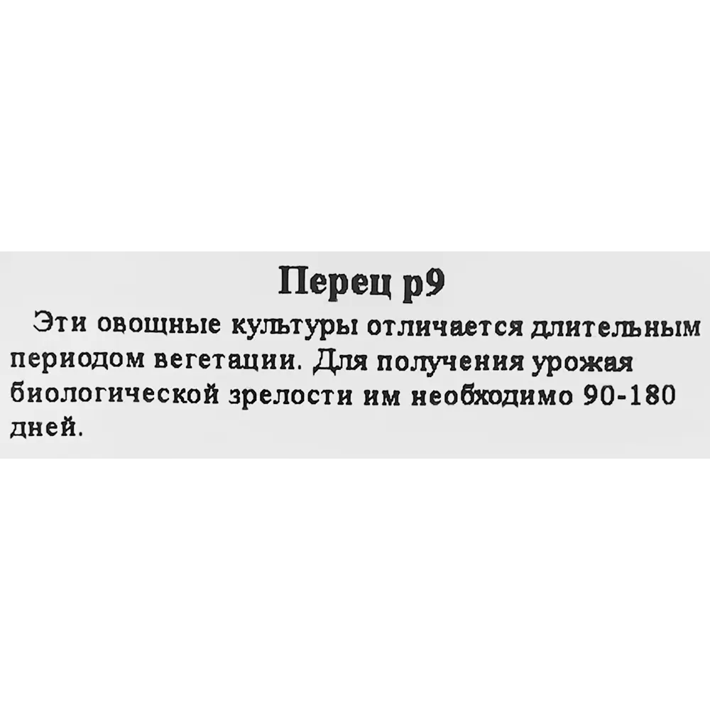 Рассада Перец ø9 h15 см Santreyd STLM-2010858 - Вид №1