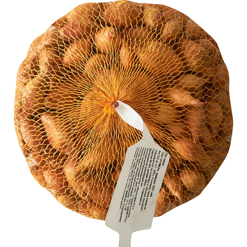 Лук севок Румба 10/21, 0.5 кг Santreyd STLM-2125754