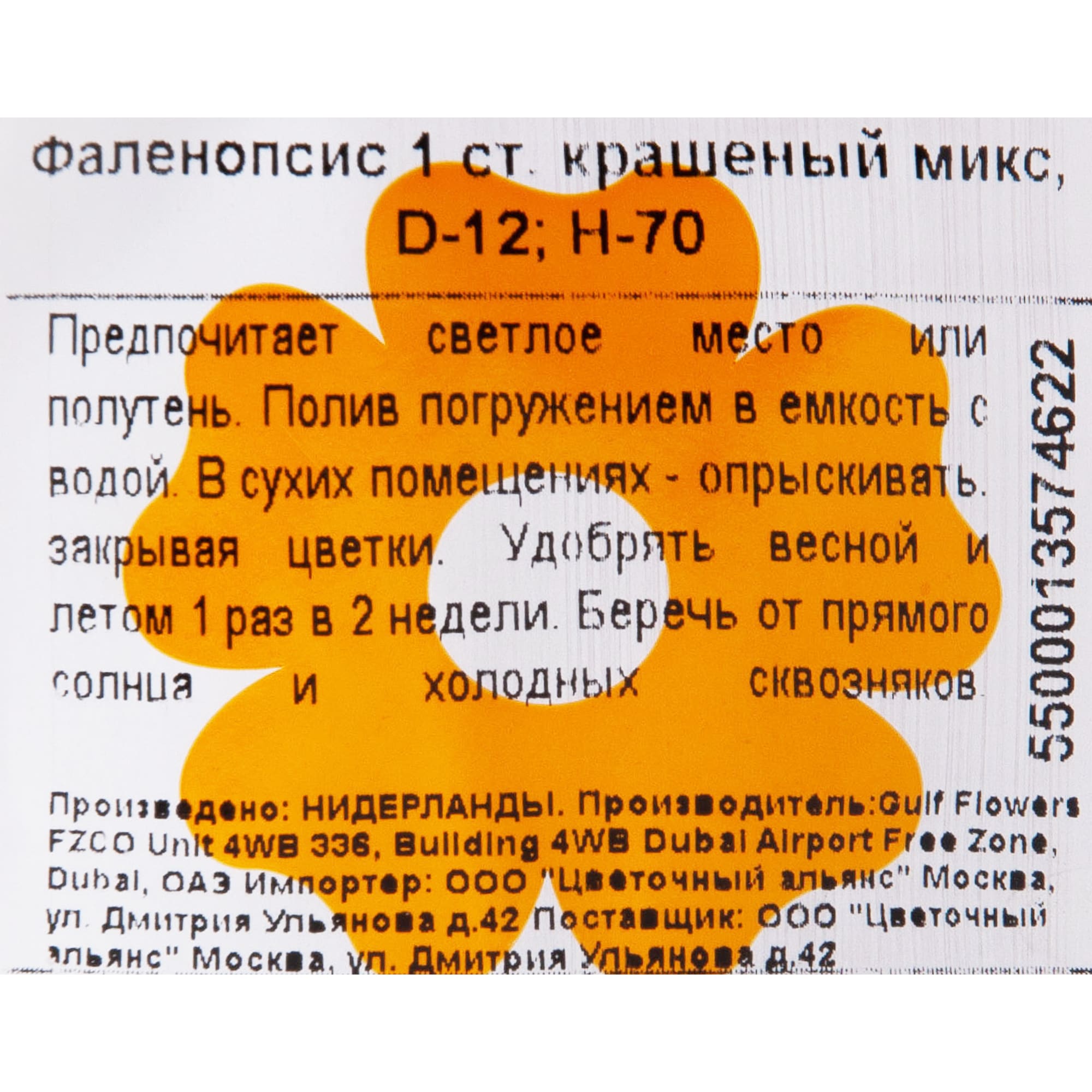 82611595 Орхидея Фаленопсис микс окрашенный 1 стебель ø12 h70 см Santreyd  - Вид №2