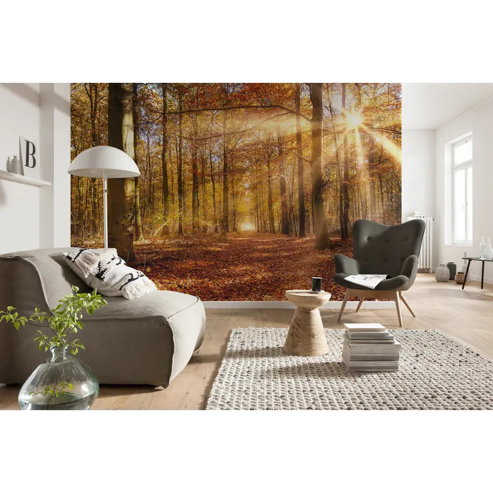 Фотообои «Золотой рассвет», бумажные, 368x254 см, 8-997 Komar STLM-2118460 - Вид №2