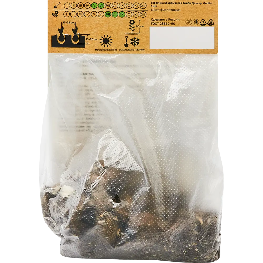 Георгина Geolia бахромчатая Тейбл Дансер STLM-2207904 - Вид №1