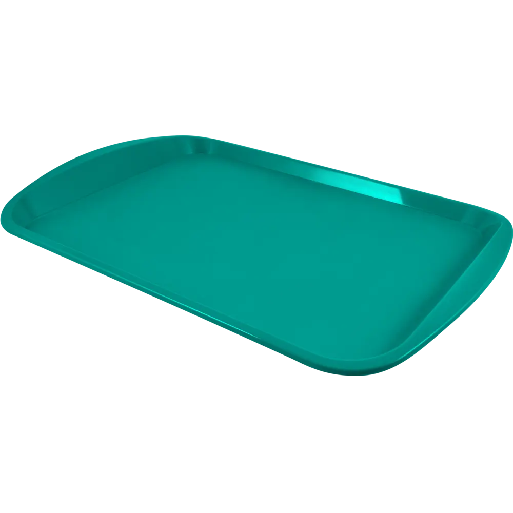 Поднос прямоугольный Delinia 47x33 см полипропилен цвет изумрудный STLM-2181631 - Вид №1