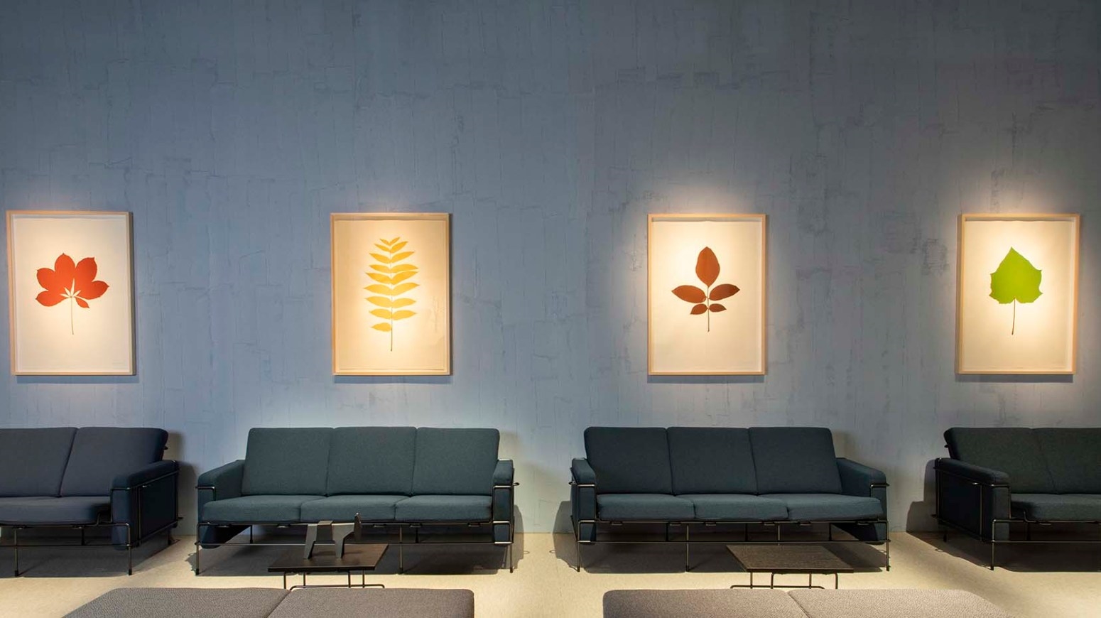 Уходит Magis sun-id-1328985 - Вид №10