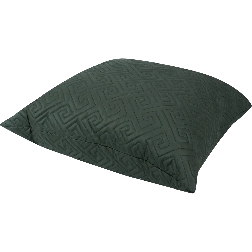 Подушка Cactus 1 50x50 см цвет зелёный 84631652 STLM-2211529 SEASONS  - Вид №1