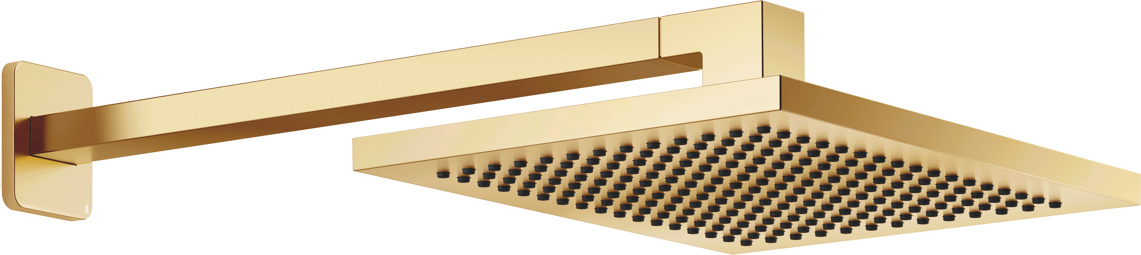 LULU Тропический душ с настенным креплением 300 x 240 мм - Матовая дюрбрасс (23-каратное золото)