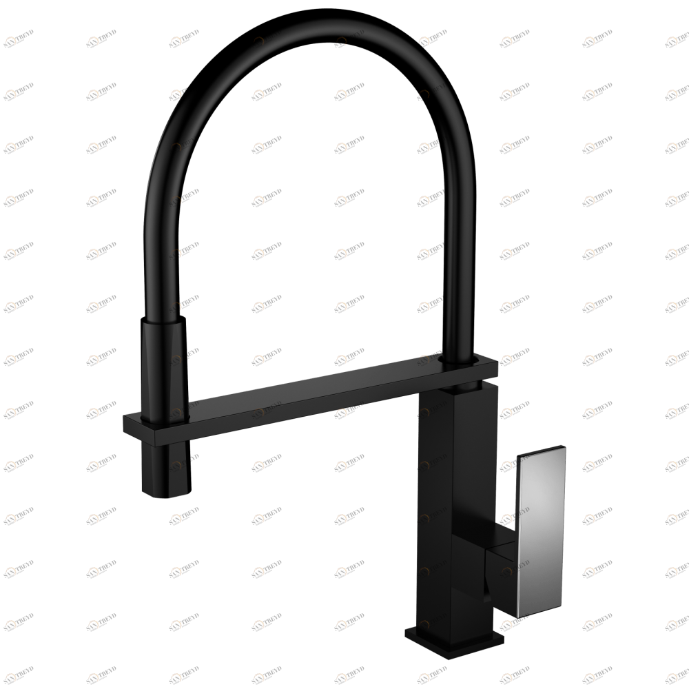 GZ 16037C Смеситель для кухни Ganzer Черный Ganzer Германия 14015