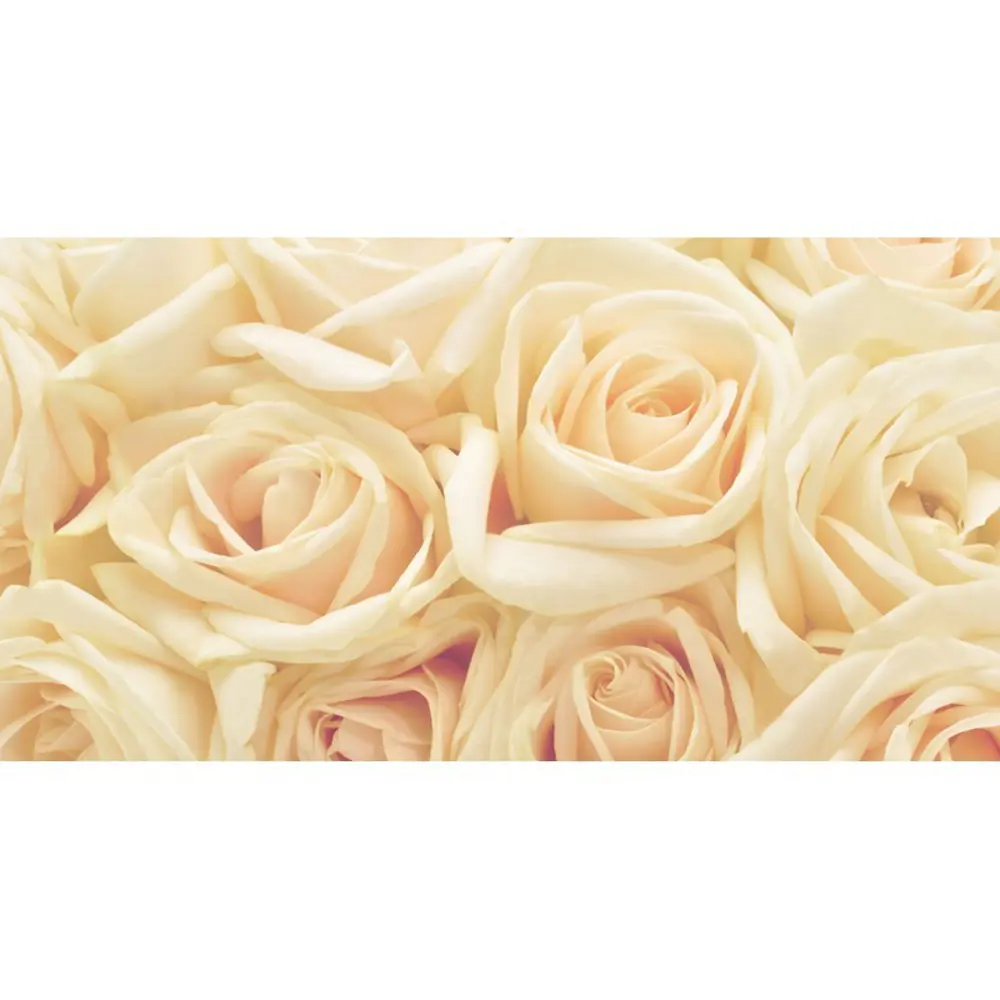 Фотопанно флизелиновое «Розы» 250х130 см Santreyd STLM-2010814
