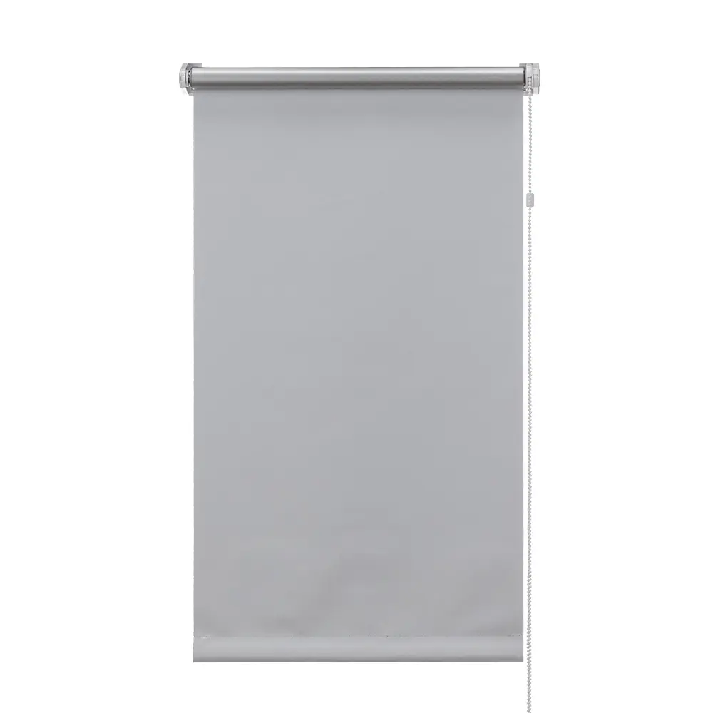 Рулонная штора ЭСКАР Silverback 60×160 см для современного интерьера 89354630 STLM-1576816