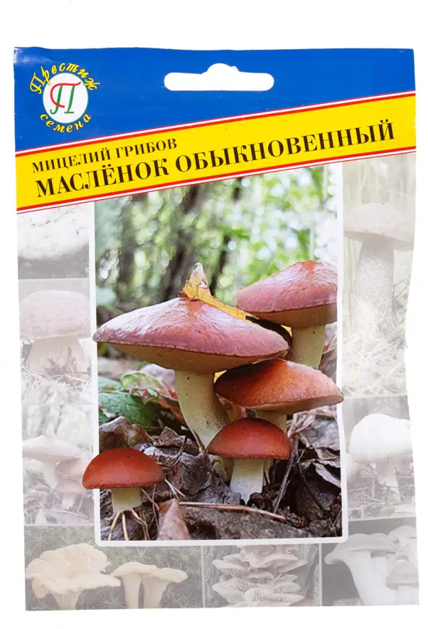 ПРЕСТИЖ СЕМЕНА - Мицелий маслёнка обыкновенного для домашнего выращивания 17301791