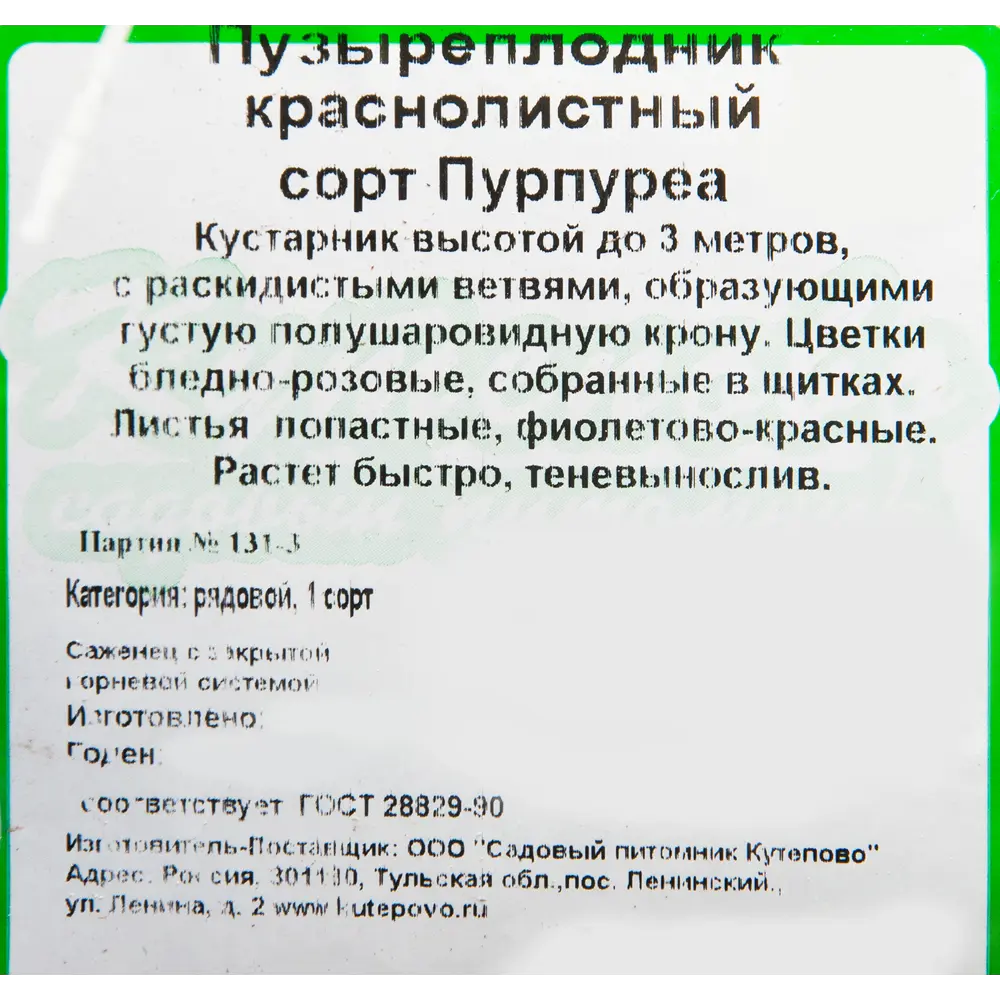 Пузыреплодник краснолистный 15x30 см 82595256 STLM-2193616 Santreyd  - Вид №2