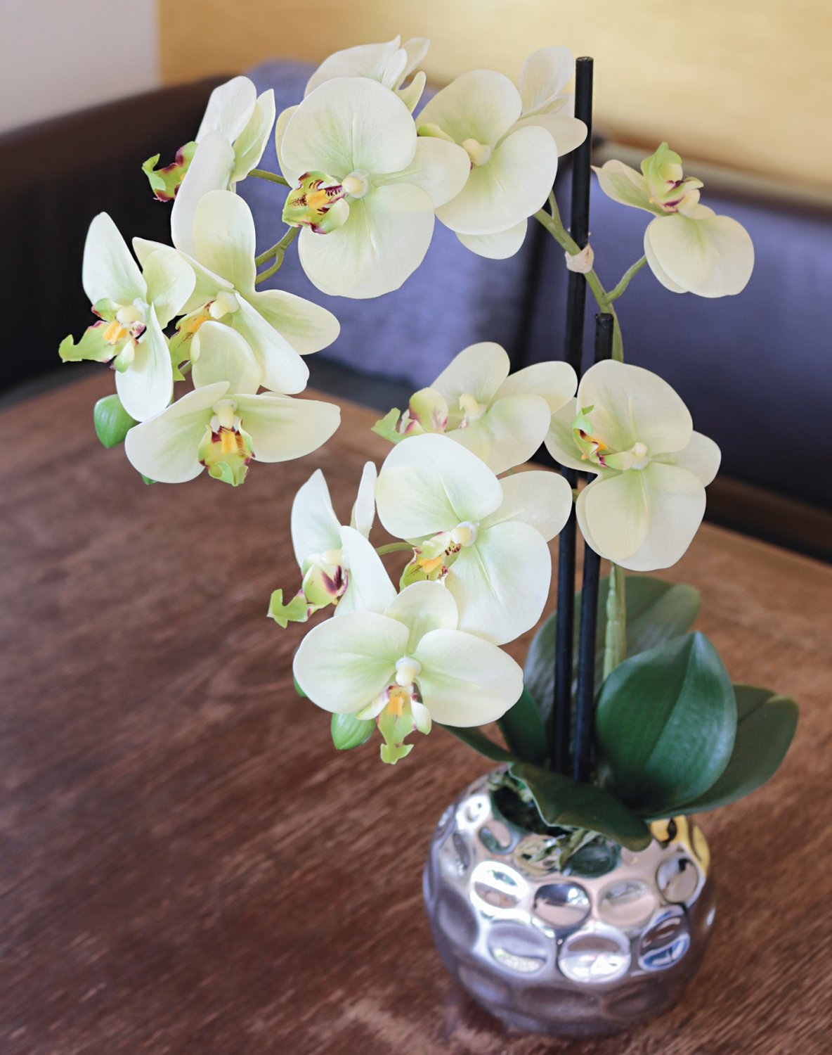 2772 788 a3 Пластиковая орхидея Phalaenopsis, 2-х кратная, горшечная, 45 см, real touch, бежево-зеленая H-andreas 