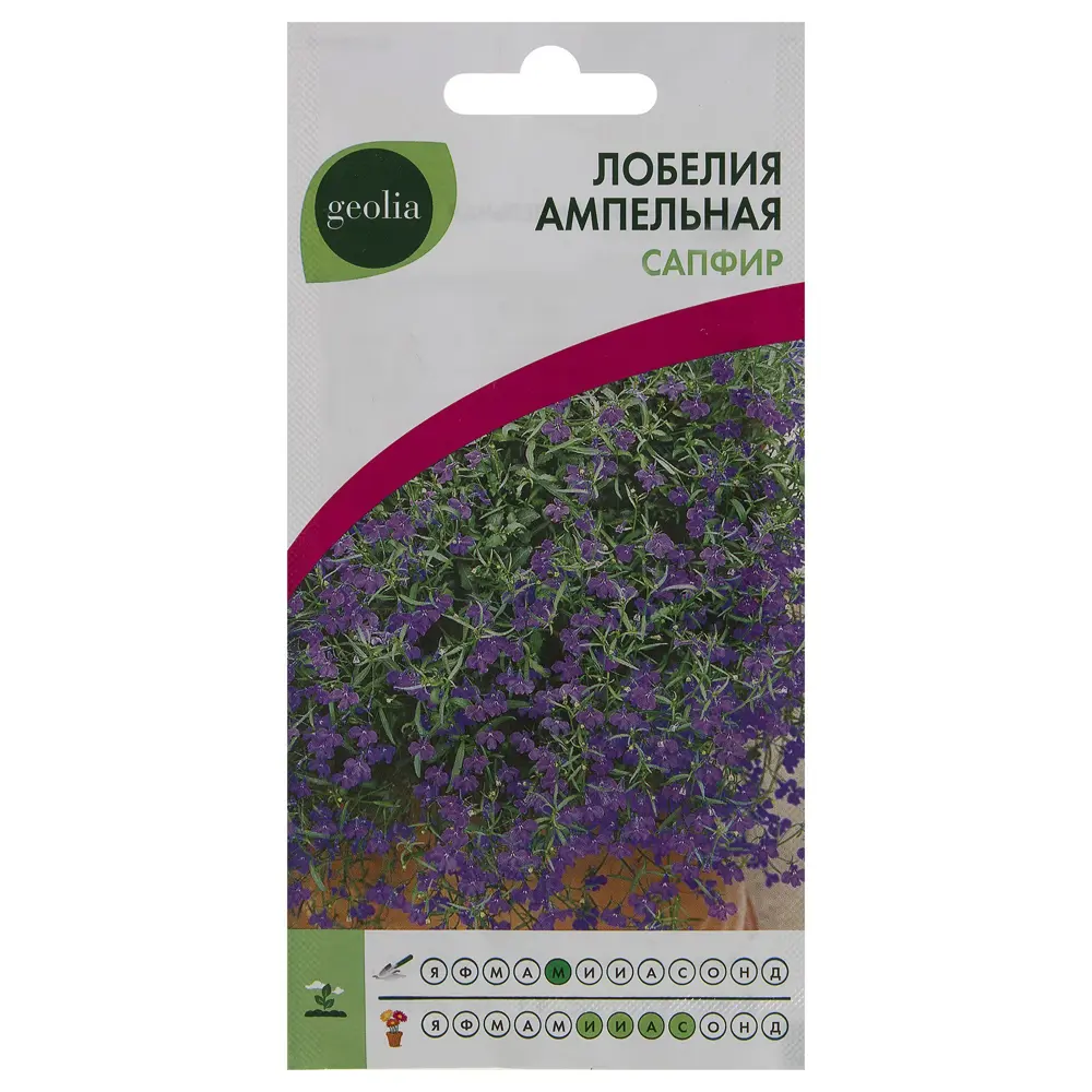 Лобелия ампельная Geolia «Сапфир» для кашпо и балконов 17585543 STLM-0008387