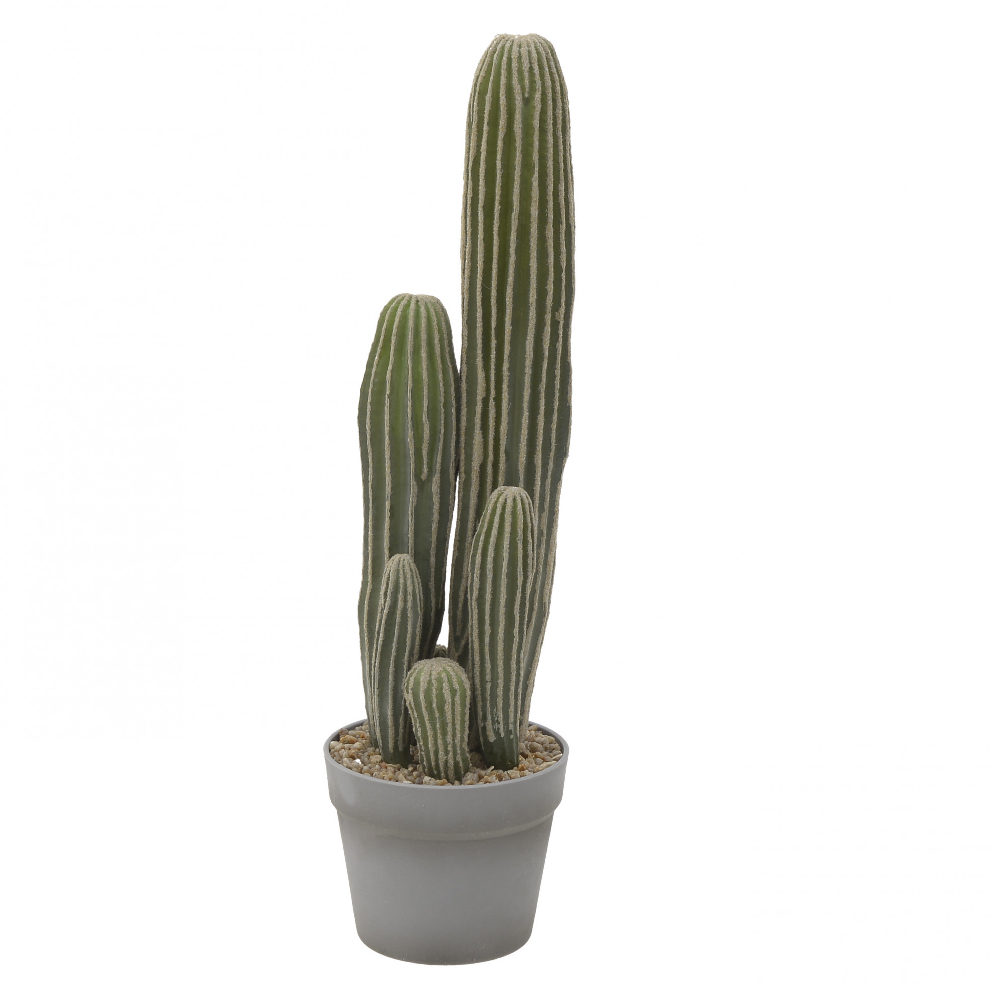 3885760.0027 ИСКУССТВЕННЫЙ ЦВЕТОК В КАШПО - КАКТУС TO4ROOMS 